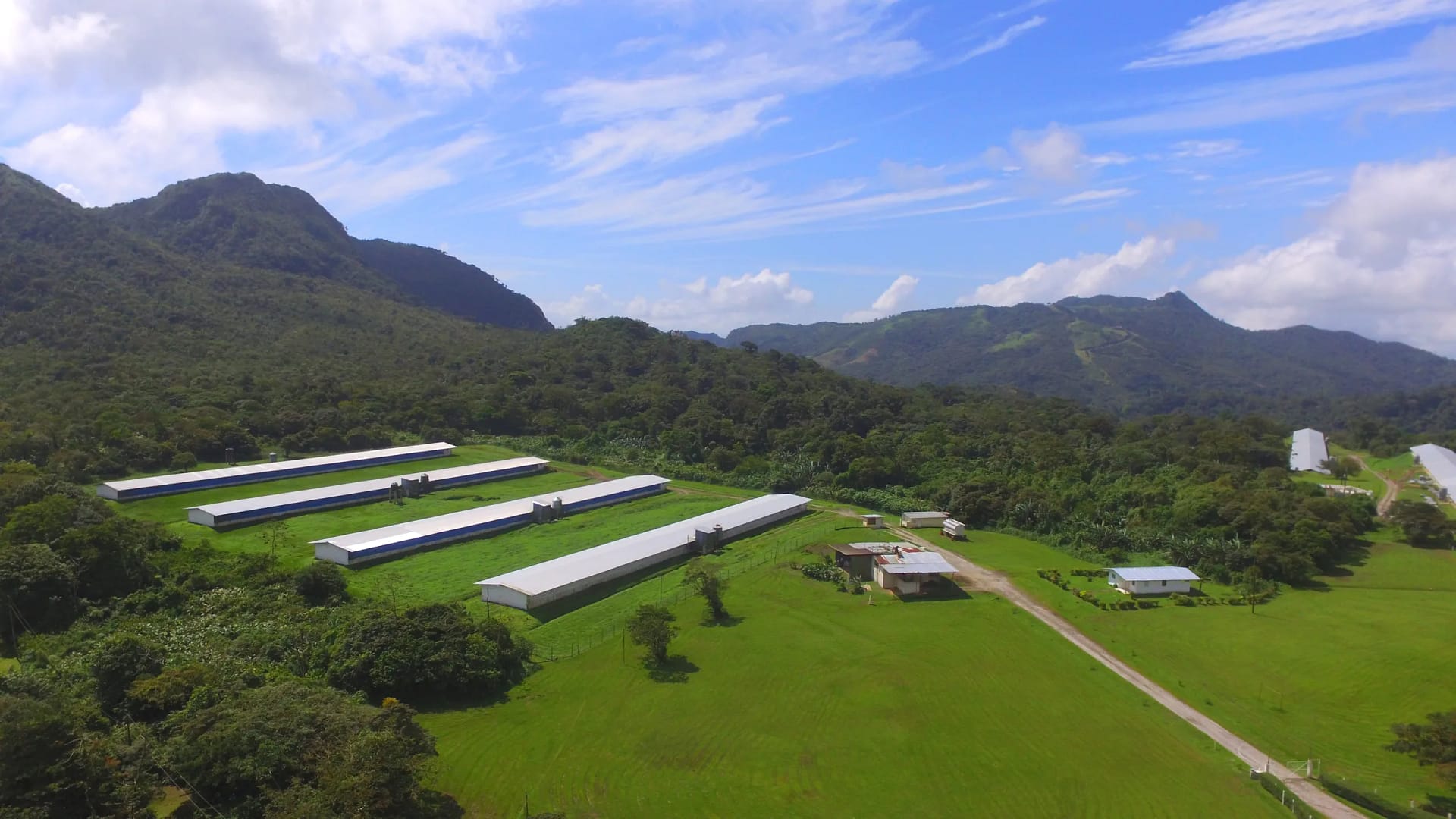 Chicken farm