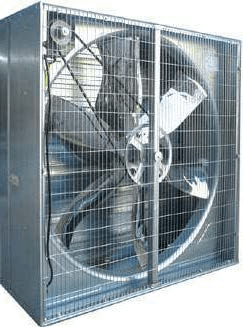 Fan