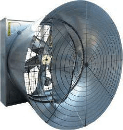 Fan