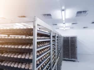 Incubator