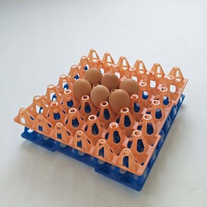 Egg tray