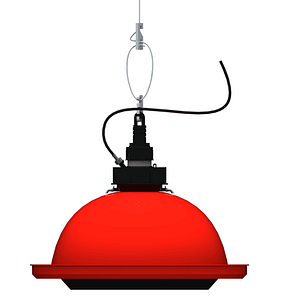 Bell drinker