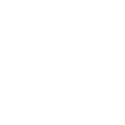 Slaughter workshop