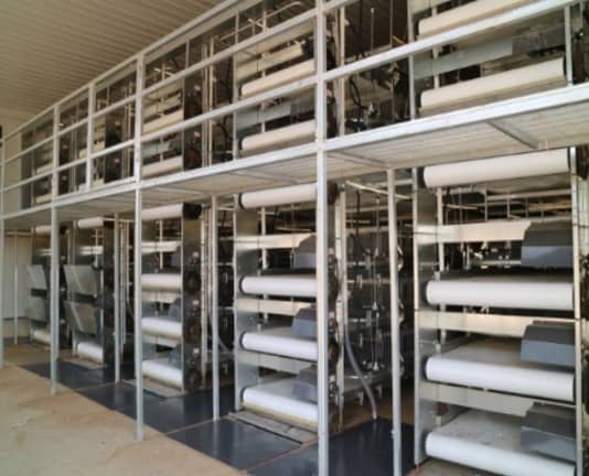 Layer cage manure collecting system