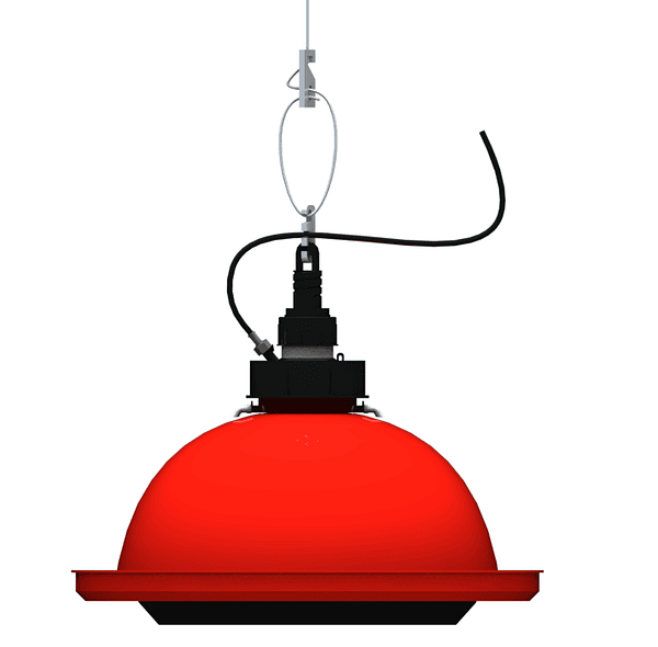 Bell drinker