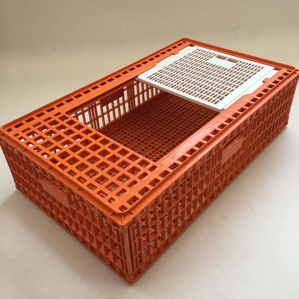 Bird transferring box