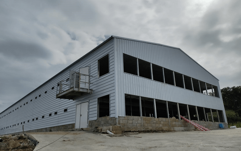 Chicken building
