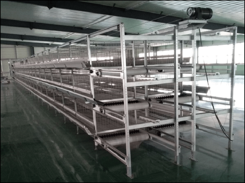 Broiler cage