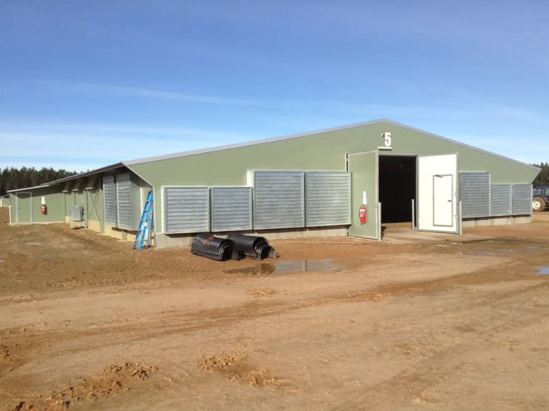 Chicken building with sandwich pannel