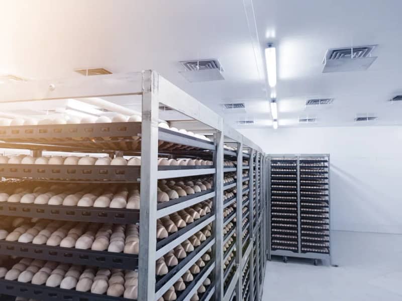Incubator