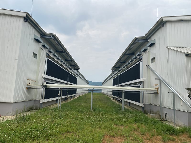 Cooling pad system
