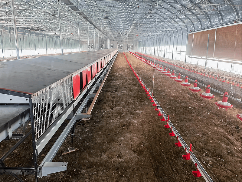 Welfare layer project