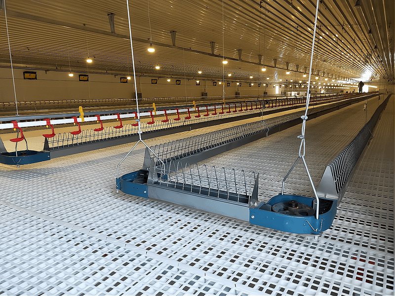 Female chain feeding system