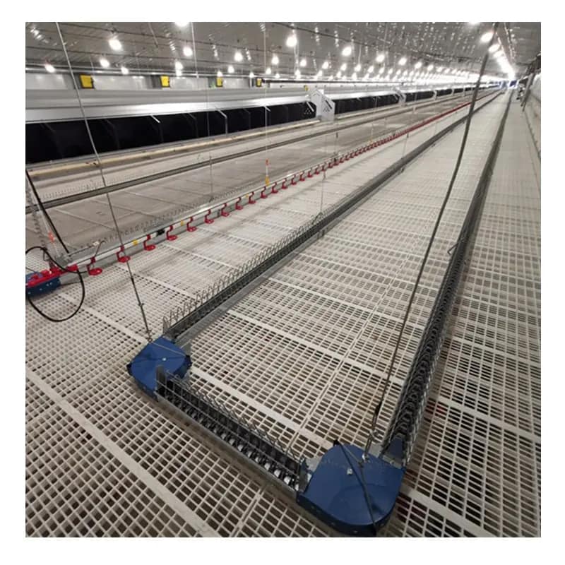 Chain feeding system - Catchoe - China poultry equipment & modern farm ...