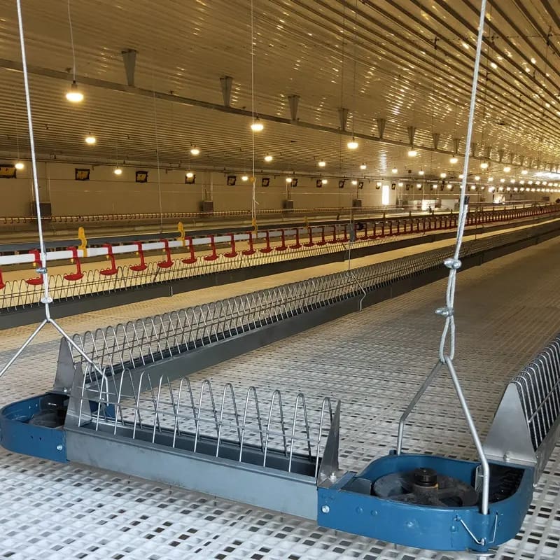 Female chain feeding system