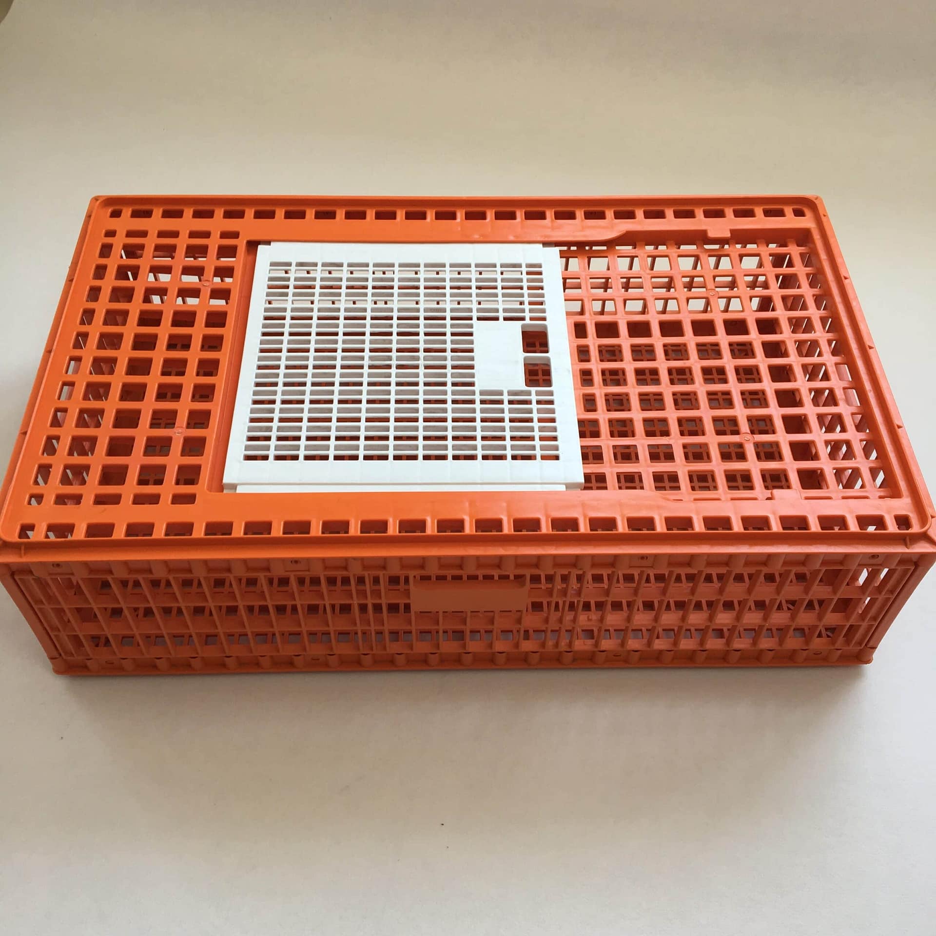 Bird transferring box